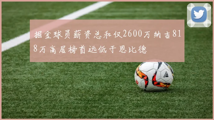 掘金球员薪资总和仅2600万纳吉818万高居榜首远低于恩比德