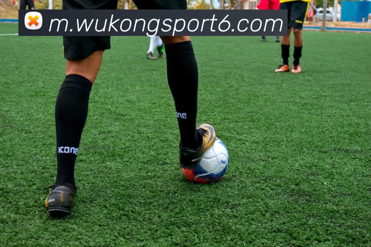 悟空体育APP 封面图